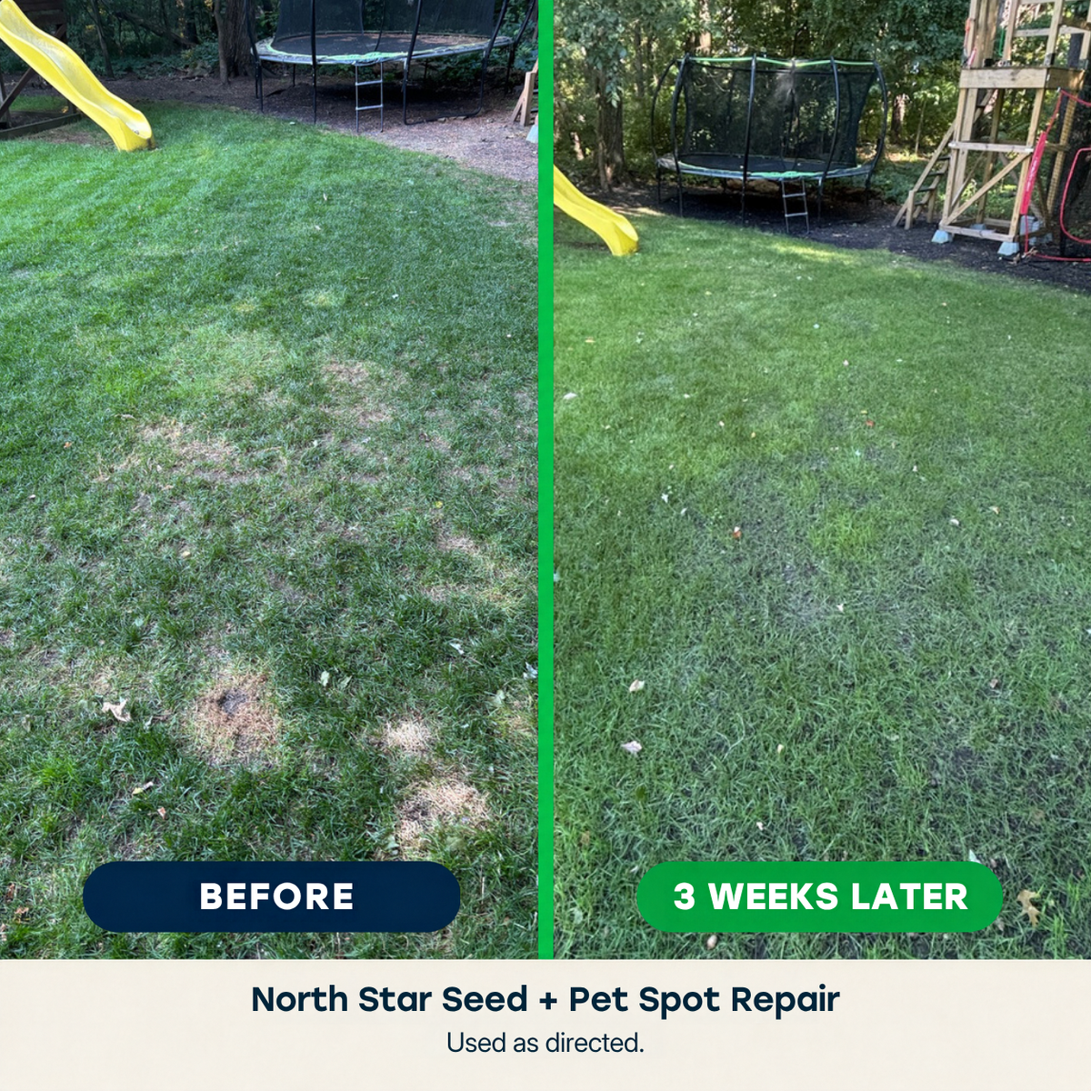 Pet Spot Repair