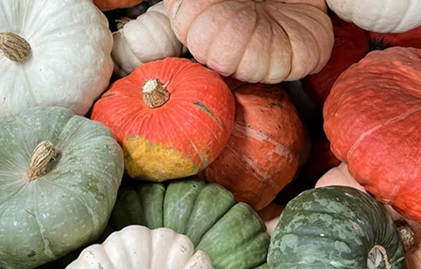 Stacking Pumpkins