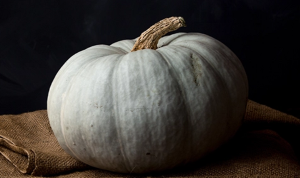 Stacking Pumpkins