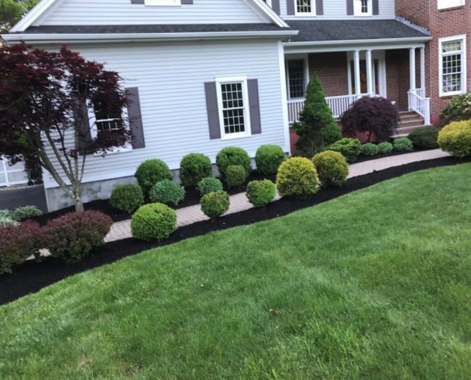 Midnight Black Mulch