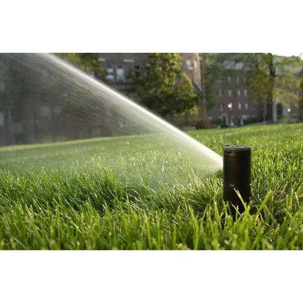 Sprinkler Head - Rain Bird with Check Valve