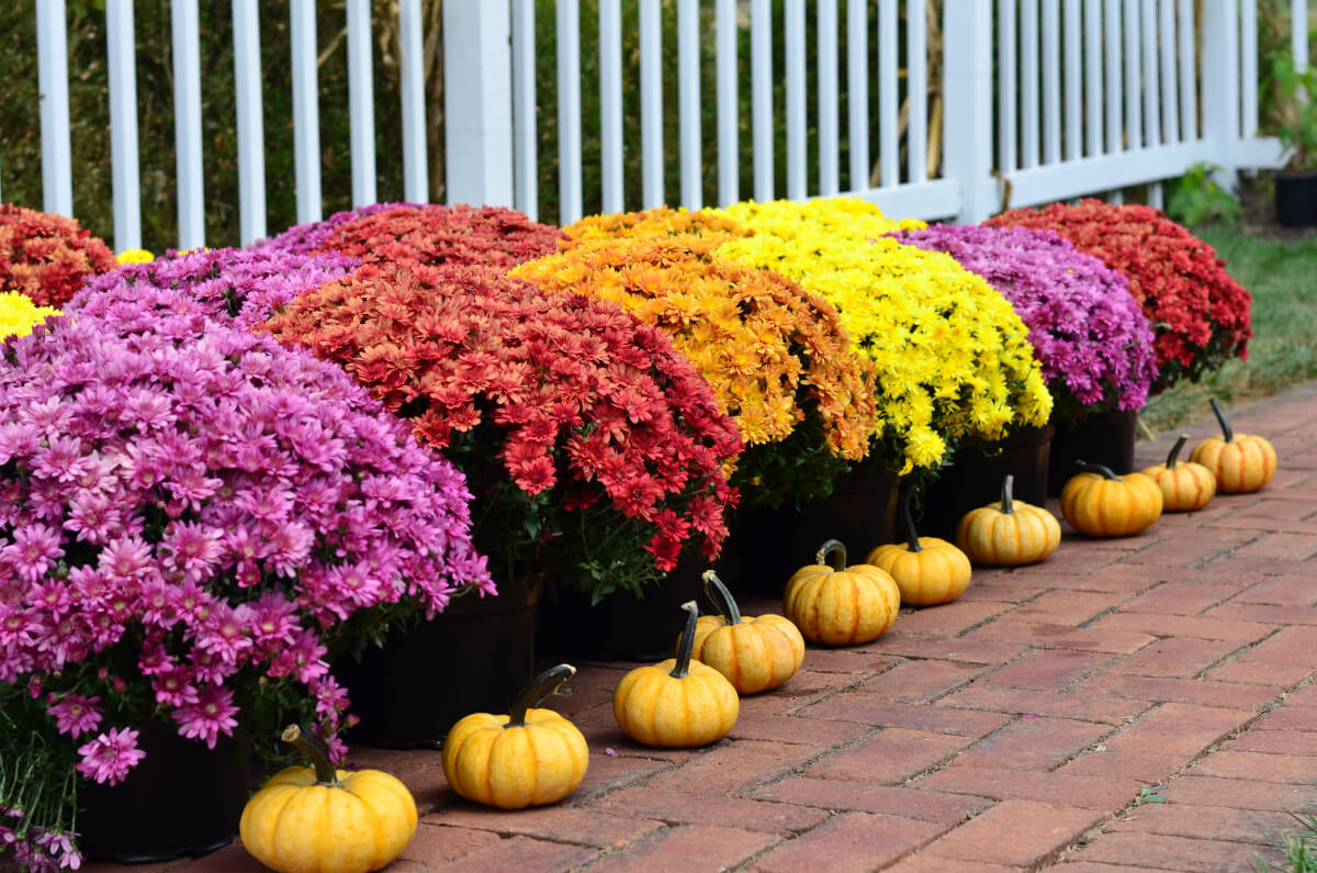 St. Augustine’s School Mum Fundraiser