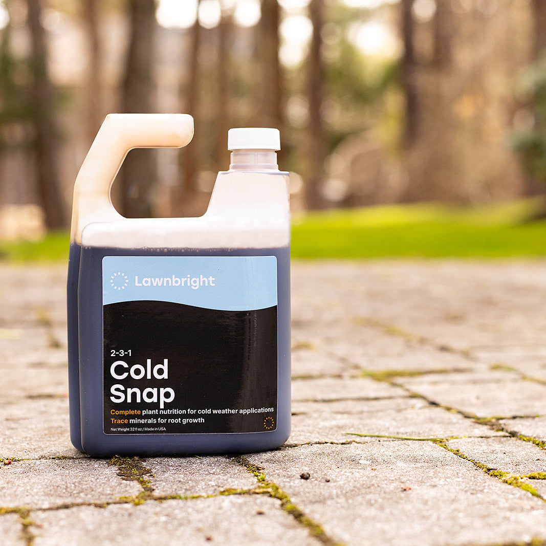 Cold Snap Winterizer