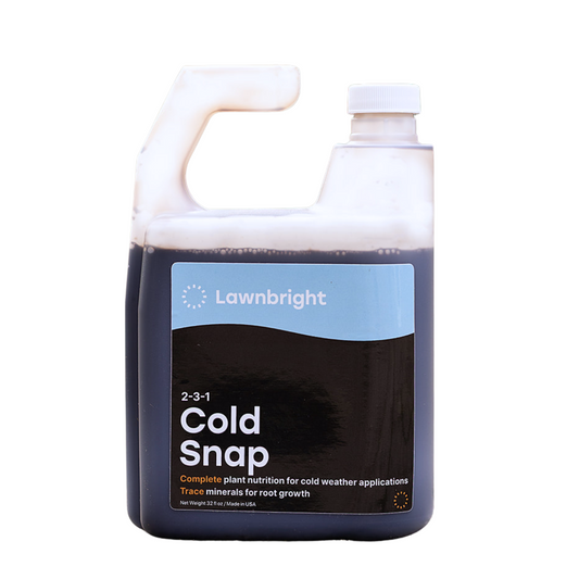 Cold Snap Winterizer