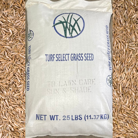 Grass Seed Turf Select Sun and Shade