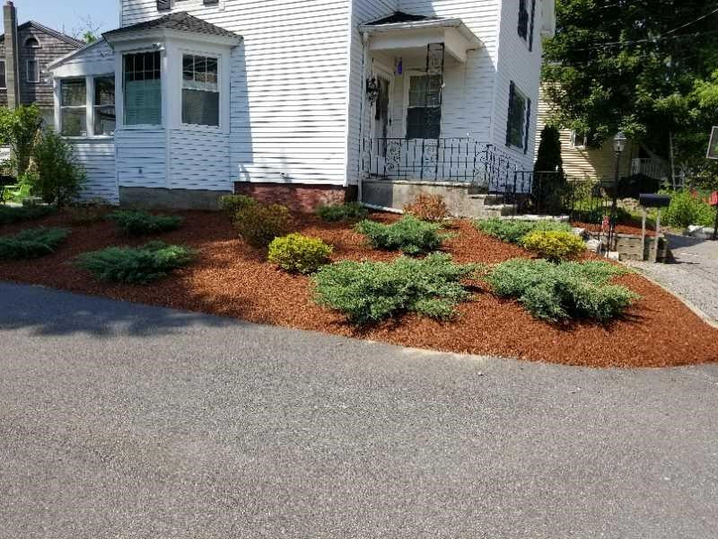 Hemlock Mulch Blend