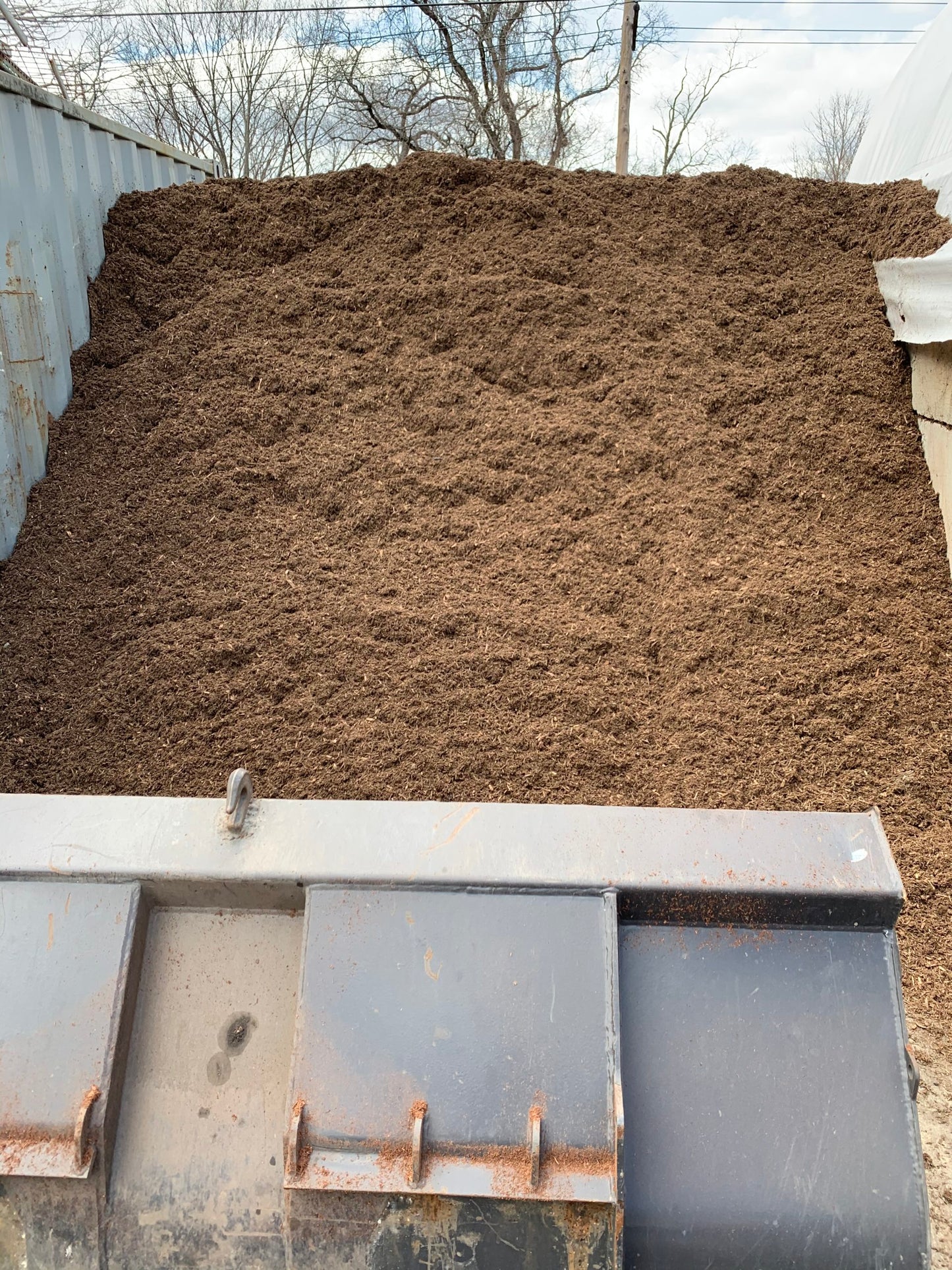 Pine & Spruce Mulch Blend