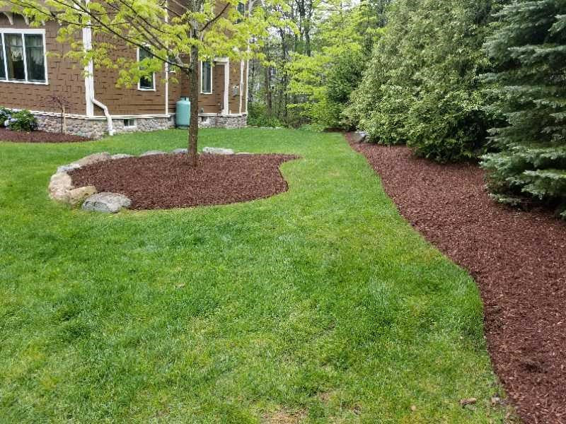 Pine & Spruce Mulch Blend